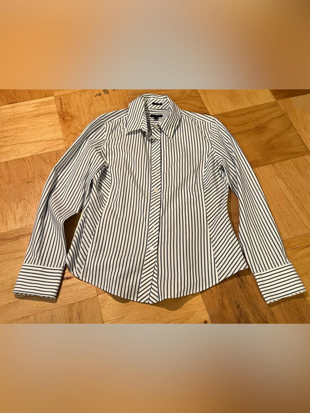 Talbots White and Blue Striped Blouse